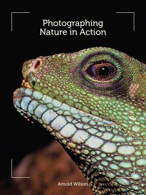 cover image of Photographing Nature in Action